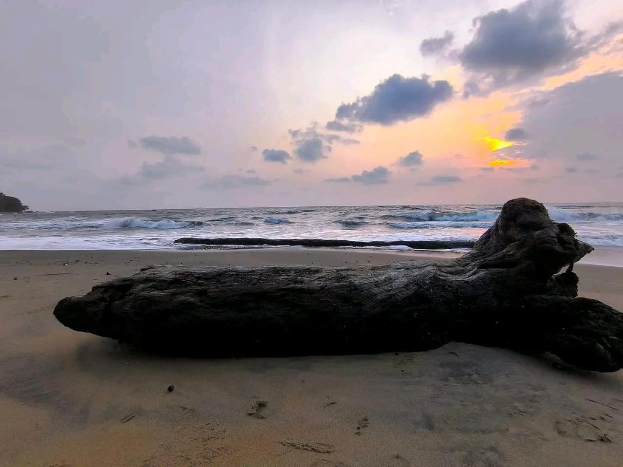 La Villa Lou, Musee Des Arts Grand Batangua Kribi Exterior foto