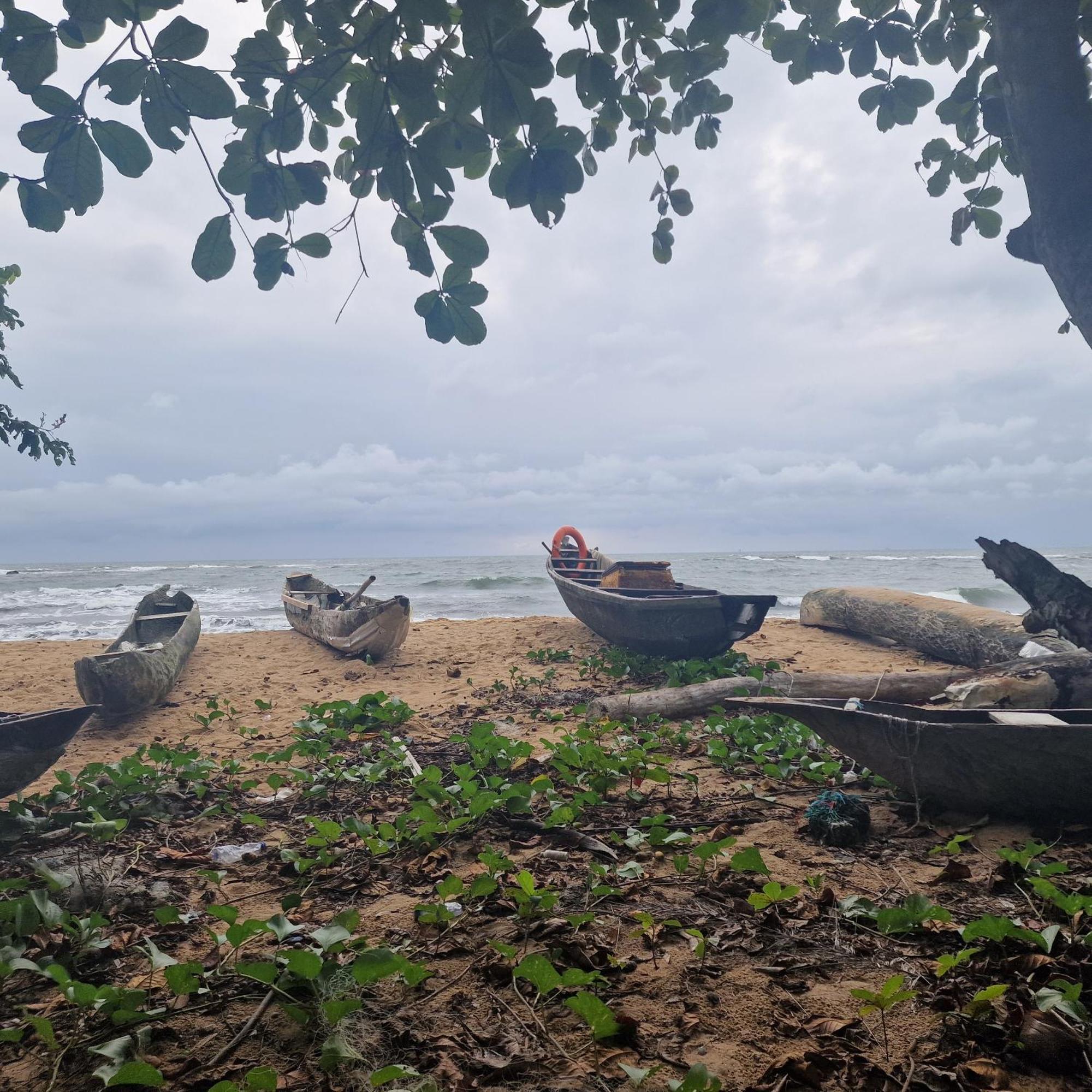 La Villa Lou, Musee Des Arts Grand Batangua Kribi Exterior foto
